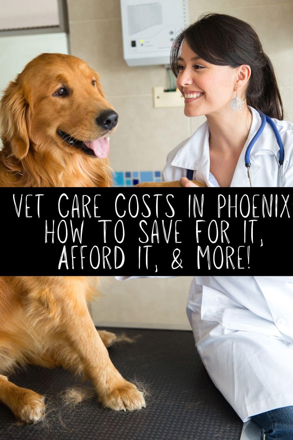 Vet Care Costs In Phoenix: How To Save For It, Afford It ...